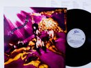 Cycle Sluts From Hell ?– Cycle Sluts From Hell ,  NL`91,  LP,  Vinyl: m-