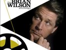 Brian Wilson : Playback: The Brian Wilson Anthology Vinyl 12