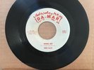 Marc Allen - Wonder Why/Lonely * Da-Mar Teen Popcorn 45 Rare