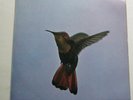 PAUL GONSALVES HUMMING BIRD DERAM UK ORIGINAL. STRONG EX PERFECT VINYL AND SOUND