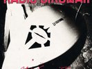Radio Birdman Aloha Steve & Dano 7
