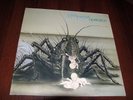 BIRTH CONTROL?–Operation,1971y. 2-nd(73') Germany(Ohr) Edit. ( EX+ ),Kraut,Prog.