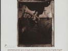Pixies Surfer Rosa USA vinyl LP album record MFSL1296 MOBILE FIDELITY