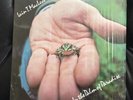 IAIN T. MACLEOD-IN THE PALM OF PARADISE- Private Folk Psych LP