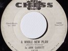 Rare Northern Soul Jo ANN GARRETT Chess promo A Whole New Plan VG+