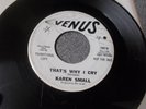 Karen Small To Get You back Again northern soul promo on Venus mp3