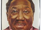 Muddy Waters - I'm Ready LP - Blue Sky SEALED