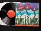 YOUNG FLOWERS Blomsterpistolen Original Sonet 1st Danish Psych/Prog Rare 1968