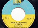 WE THE PEOPLE-MAKING MY DAYDREAM REAL ON LION 70S SOUL 45-HEAR