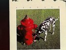 Rush / Signals  - Mercury - Made In West Germany