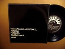 THE SPELLING MISSTEAKS 7'' POPSTAR E.P PUNK POWERPOP 1978 STORTBEAT
