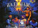 Raja Ram Evolution Of Expnded Consciousness Double Vinyl LP 2006 TIP Records New