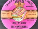 Wild Unknown Garage Surf Stomper The Contenders Rise & Shine / Johnny B. 45 HEAR