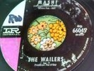 Wild Mod Garage Frat Tittyshaker 45 The Wailers Mashi / On the Rocks HEAR