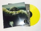 Beyoncé / Zex - 'Lemonade' - yellow vinyl LP. Very rare European only misspress