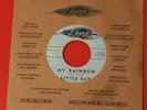 LITTLE RAY 