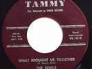 EDSELS doowop TAMMY 45 What brought us together b/w Don't know what to do mg116