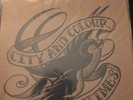 CITY AND COLOUR - SOMETIMES (LIMITED EDITION) - VINYL LP - NEW