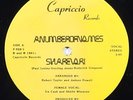 A NUMBER OF NAMES Sharevari 12