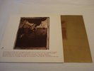 PIXIES - Surfer Rosa CAD 803 LP Vinyl ab 1,-