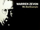 WARREN ZEVON- Mr. Bad Example Vinyl LP 1991