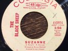 THE BLACK SHEEP Suzanne / Feeling Down 45, RARE 1967 Fuzz Garage Psych Columbia