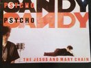 THE JESUS AND MARY CHAIN PSYCHOCANDY (Original 1985 Vinyl)  LP + rare article