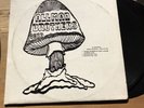 The Allman Brothers Band - Nassau Coliseum April 30 1973 LP RARE LIVE BLUES ROCK