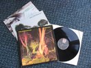 Echo and the Bunnymen - 3 x original 1980's vinyl albums