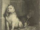 Pavlovs Dog, Pampered Menial  Vinyl Record/LP *NEW*