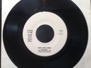 Stray Cats Rock This Town  USA 7
