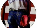 Bruce Springsteen Born in the USA picture disc