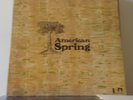 American spring  l p record