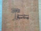 AMERICAN SPRING LP Prod. BRIAN WILSON Featuring BEACH BOYS RARE