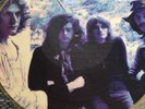LP Picture Disc Led Zeppelin Dazed And Confused L.A.