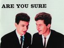 The Allisons - Are You Sure