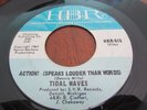 Tidal Waves Rare Michigan Garage Punker On HBR Action   Speak louder than words