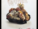 THE WILDHEARTS Fishing For More Luckies LP EASTWEST 0630-12850-1 EUROPE 1995