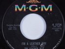 Garage Psych 45 LEATHER BOY I'm a Leather Boy MGM HEAR