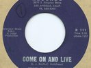 NORTHERN SOUL   FABULOUS JADES  