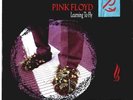 Pink Floyd - Learning To Fly 7