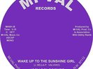 WAKE UP TO THE SUNSHINE GIRL  Joey Delorenzo  *NORTHERN SOUL*
