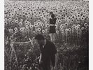 Jesu/ Sun Kil Moon S/T Newbury Comics Silver/Black Vinyl Mint Sealed /300