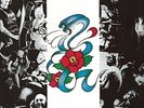 ROSE TATTOO-ROSE TATTOO (OGV) (GER)  VINYL LP NEW
