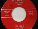 STANLEY JAMES: I Need You So / Alligator Man, Apache Records 1818