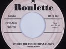 Rockabilly 45 JIMMY LLOYD Where The Rio De Rosa Flows ROULETTE HEAR promo