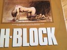 H BLOCK,VINYL LP,CHRISTY MOORE,DONAL LUNNY,PRIVATE IRISH PRESSING,HUNGER STRIKE