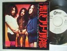 PROMO WHITE LABEL / THE EDGAR BROUGHTON BAND EVENING OVER ROOFTOPS / 7INCH
