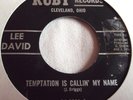 LEE DAVID   TEMPTATION IS CALLIN' MY NAME ** US RUBY 45