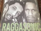 raggasonic Double LP